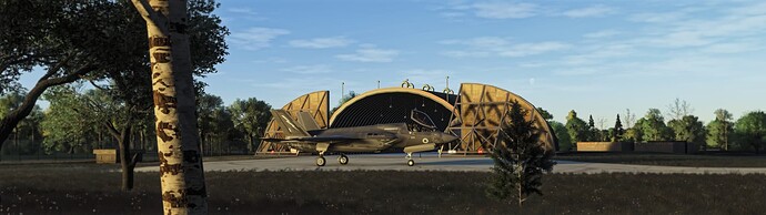 Microsoft Flight Simulator 2024 Screenshot 2025.04.18 - 22.44.57.09_DxO-1