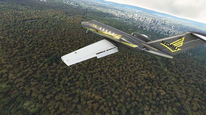 Microsoft Flight Simulator 2023-01-04 1_04_30 PM