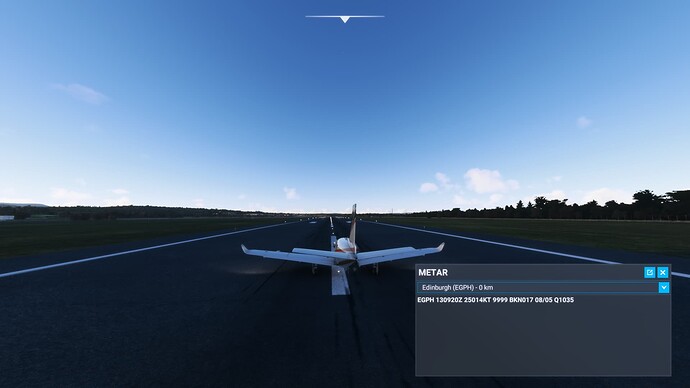 Microsoft Flight Simulator Screenshot 2022.01.13 - 10.02.17.03