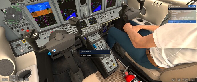 Microsoft Flight Simulator 2024 15_03_2025 16_15_32