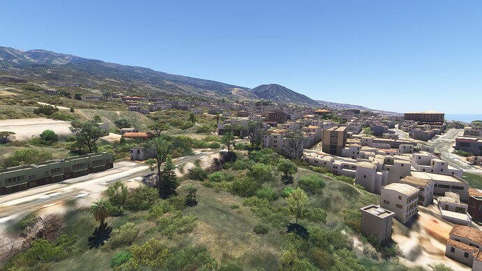 canaray4