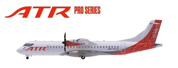 Japan Warbirds-2 (1)