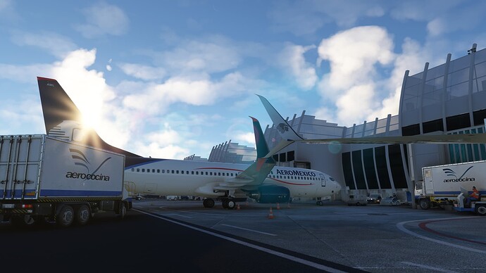 2024-12-28 17_10_46-Microsoft Flight Simulator - 1.38.2.0