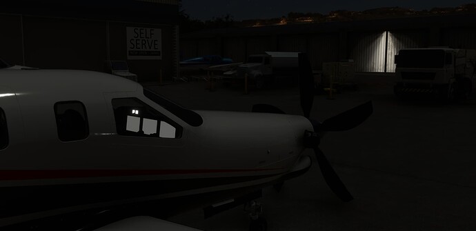 Microsoft Flight Simulator Screenshot 2023.02.03 - 05.49.10.96