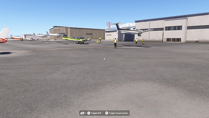 Microsoft Flight Simulator 2024-2025_02_12-16_54_55