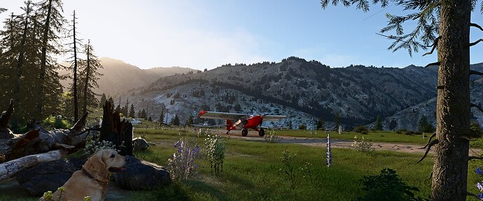 85U Soldier Bar Airstrip_03