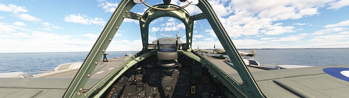 Microsoft Flight Simulator 6_14_2024 5_24_43 PM