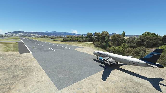 Microsoft Flight Simulator 1_7_2023 02_25_41