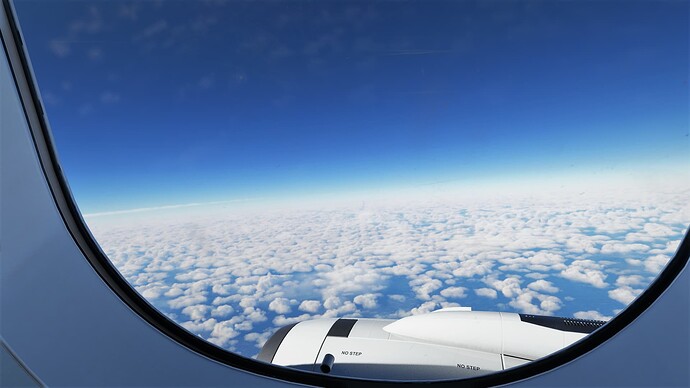 Microsoft Flight Simulator Screenshot 2022.01.26 - 22.56.55.23