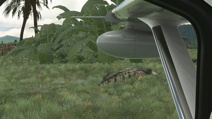 Microsoft Flight Simulator 26.12.2021 11_17_18