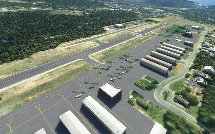 Microsoft Flight Simulator 20_08_2021 11_34_44 p.m.