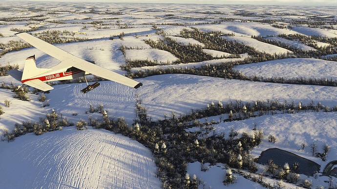 Microsoft Flight Simulator 2024-2025_12_01-03-25-55