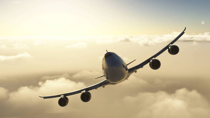 FlightSimulator2024 2025-11-23 17-35-58_630