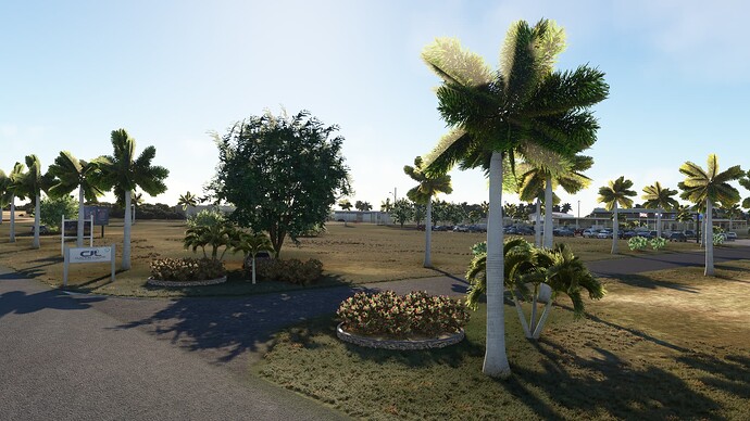 Microsoft Flight Simulator-2024_01_02-23-33-53