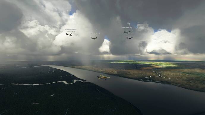 Microsoft Flight Simulator 8_2_2021 11_46_59 AM