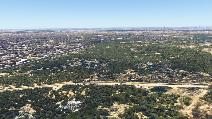 Microsoft Flight Simulator 2024 Screenshot 2025.03.25 - 18.10.37.44