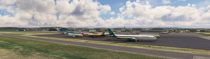 Microsoft Flight Simulator Screenshot 2024.06.12 - 18.11.50.73