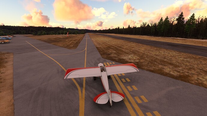 Microsoft Flight Simulator 2024 1_6_2025 3_50_58 PM