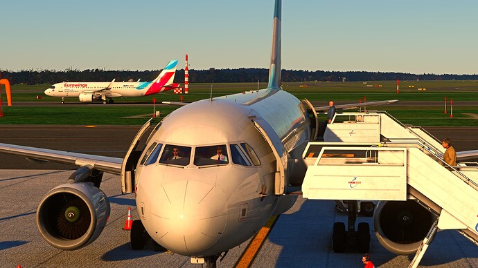 Microsoft Flight Simulator - 1.35.21.0 20.01.2024 20_51_05