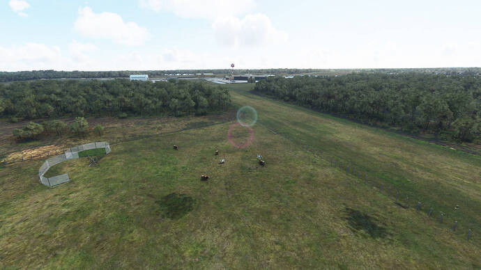 fantasy-of-flight_msfs_15