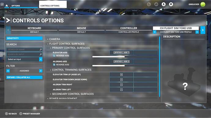 Microsoft Flight Simulator 9_7_2021 7_35_12 PM