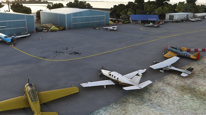 FlightSimulator 2022-01-17 20-54-12