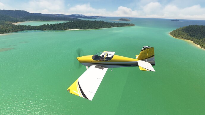 Microsoft Flight Simulator 21_1_2024 23_03_18