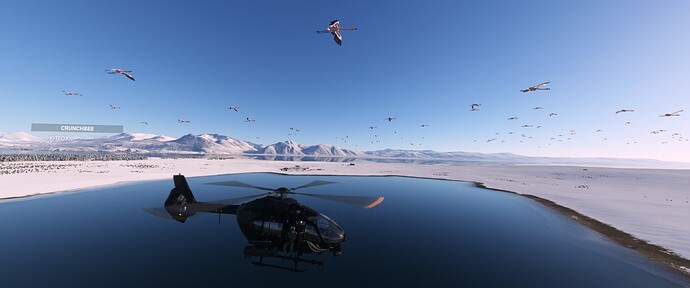 Microsoft Flight Simulator Screenshot 2022.03.09 - 05.35.23.42