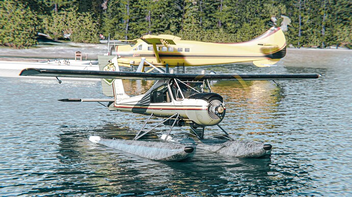 Microsoft_Flight_Simulator_Screenshot_2022.11.07_-_21.15.39.02