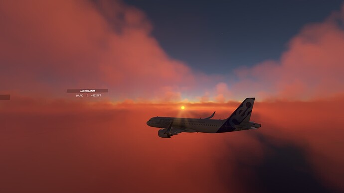 Microsoft Flight Simulator 1_01_2024 16_08_47