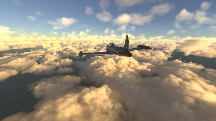Microsoft Flight Simulator 2024-2025_06_21-10-50-39 (1)