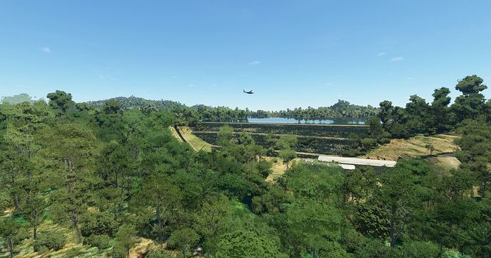 Martinique2