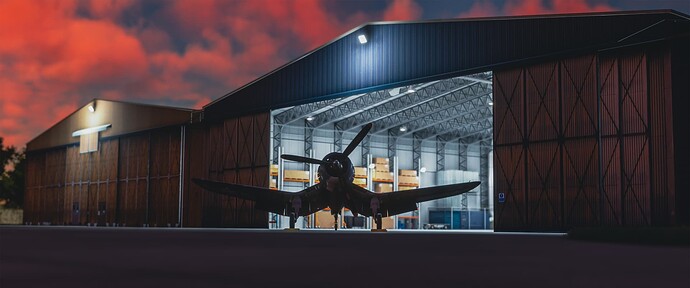 Microsoft Flight Simulator 5_30_2025 9_48_43 PM