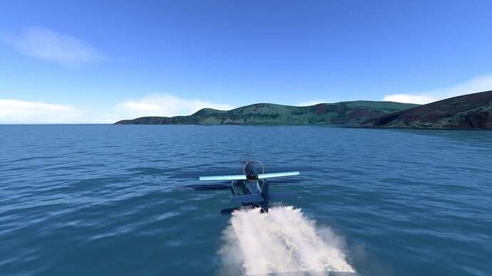 South Georgia Island 23
