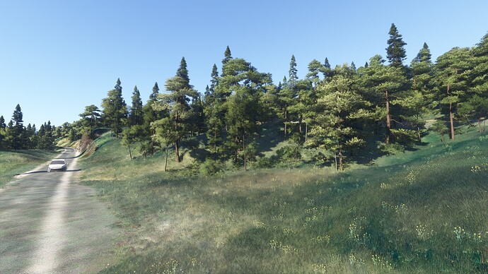 canaray6