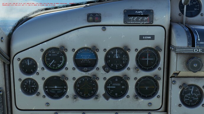 Beaver_03