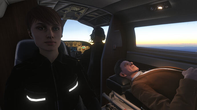 Microsoft Flight Simulator 2024 Screenshot 2025.02.11 - 00.46.34.44