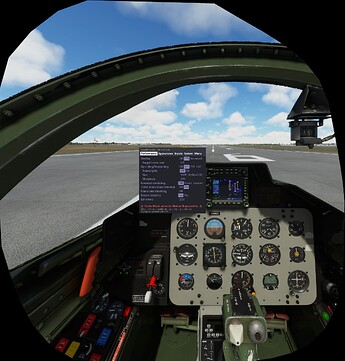 FS2020_20231016_173154_NIS_100_20_L