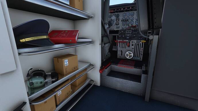 Microsoft Flight Simulator Screenshot 2021.06.28 - 19.47.30.59