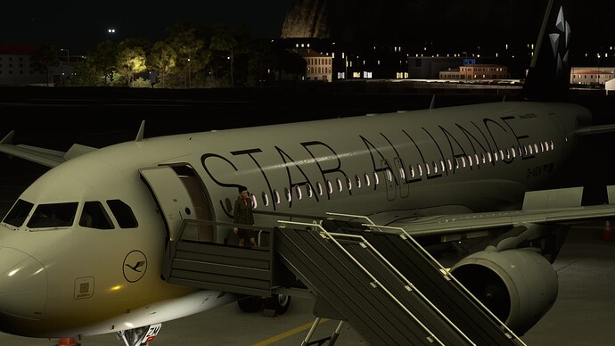 Microsoft Flight Simulator 9_4_2022 1_12_33 PM