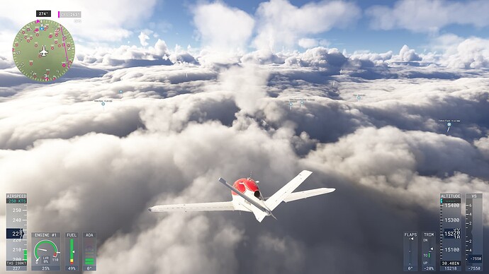 Microsoft Flight Simulator 2024-2024_12_12-20_45_36