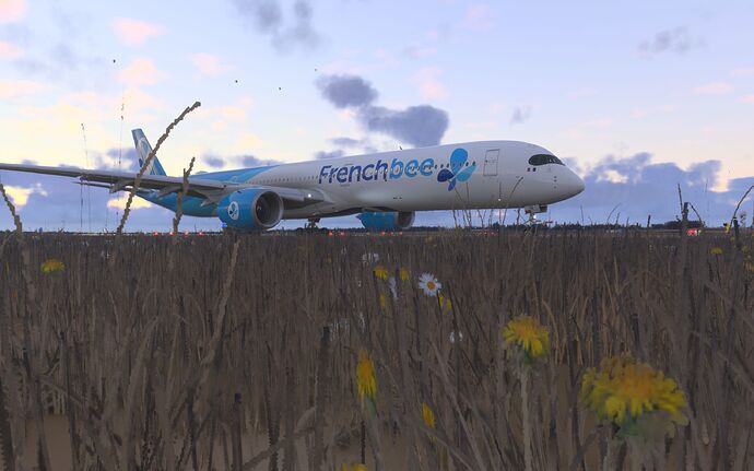 Microsoft Flight Simulator 2024 2_27_2025 8_00_11 PM