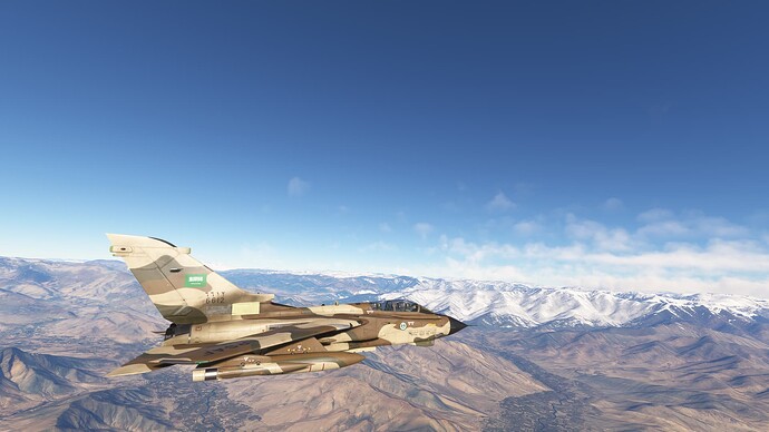 Microsoft Flight Simulator-2025_03_01-19-47-30