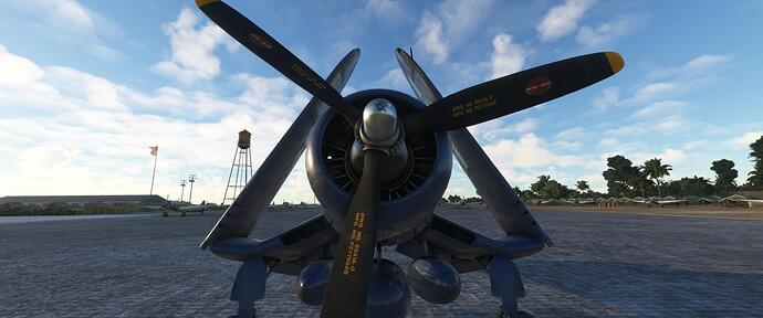 Microsoft Flight Simulator 1_20_2022 9_25_24 PM