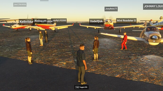 Microsoft Flight Simulator 2024 Screenshot 2025.06.20 - 15.58.10.76