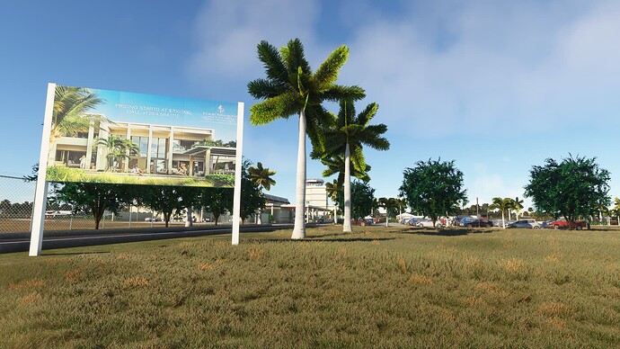 Microsoft Flight Simulator-2024_01_02-23-38-51