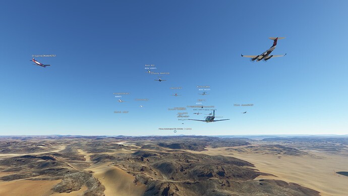 Microsoft Flight Simulator 2_20_2022 12_18_22 PM