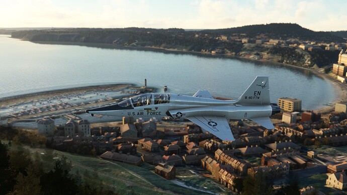 Microsoft Flight Simulator 12_11_2024 4_43_29 PM