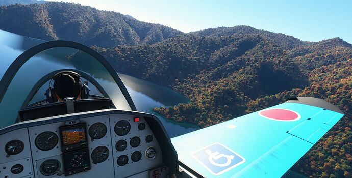 Microsoft Flight Simulator - 1.27.21.0 1