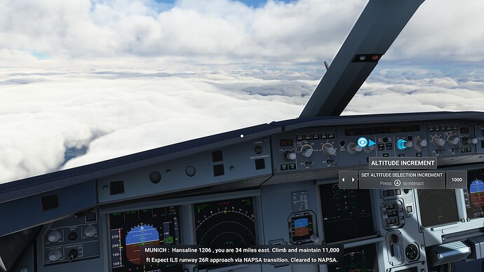 Microsoft Flight Simulator (5)